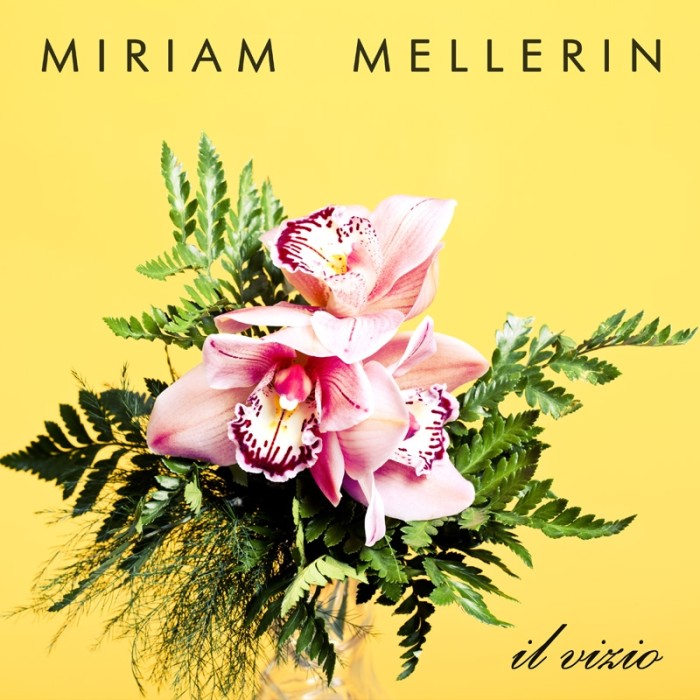 Miriam Mellerin - Il Vizio