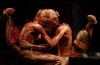 body worlds mostra