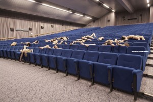 Anthony De Luca, Pile Up, serie