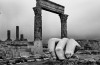 Josef Koudelka, Il tempio di Ercole ad Amman, Giordania, 2012 © Josef Koudelka, Magnum Photos,