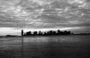 Ivan Cazzola, NYC