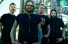 mastodon