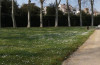 prato delle colonnne, giardino di boboli, firenze