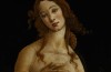 Botticelli-Venere-Galleria-Sabauda-Torino mostre arte firenze america