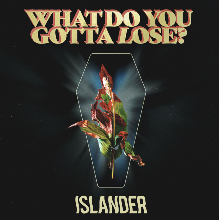 islander cover what do you gotta lose