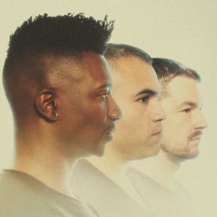 animals as leaders