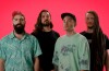 destrage band